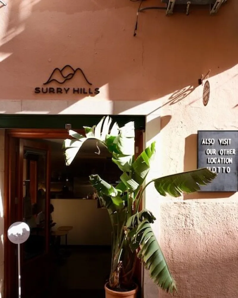 Plant-filled entrance of Surry Hills Coffee in central Palma